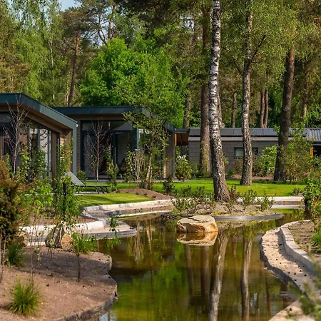 Chalet Well-kept In A Park, Adjacent To The Hoge Veluwe National Park