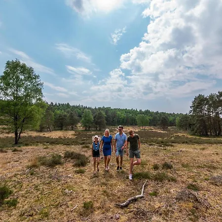 Chalet Well-kept In A Park, Adjacent To The Hoge Veluwe National Park *